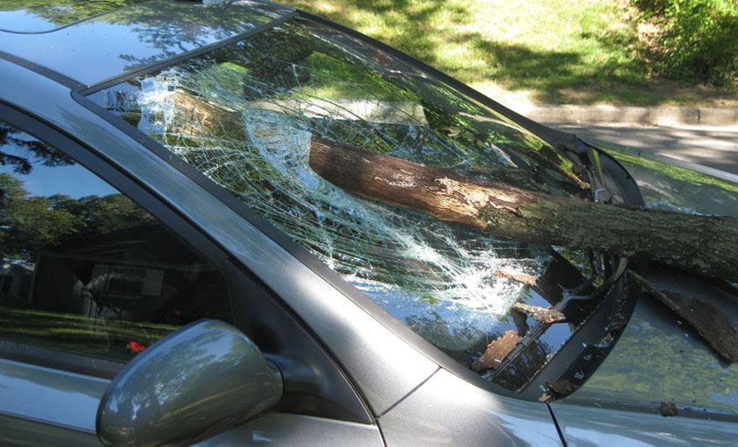 emergency car glass broken by tree